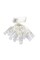 Perfect Holiday 12 LED Large Photo Clip String Light (Warm White) - Battery Operated